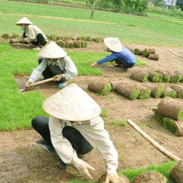 CÔNG TY TNHH DỊCH VỤ VÀ KỸ THUẬT PHÚ CƯỜNG